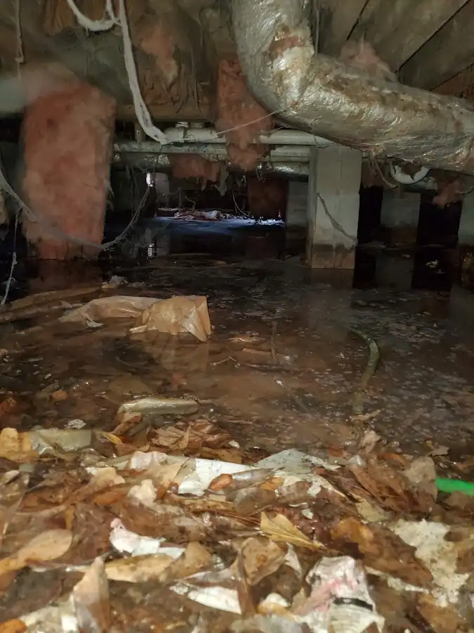 Crawl space flood assessment for Leak Detection & Repair in Milton-Freewater